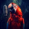 mucizepapagan's profile picture. Ne desem laf değil