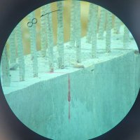 EᑎᒍOIᑎ-ᗷᑭ (@enjoin_bp) 's Twitter Profile