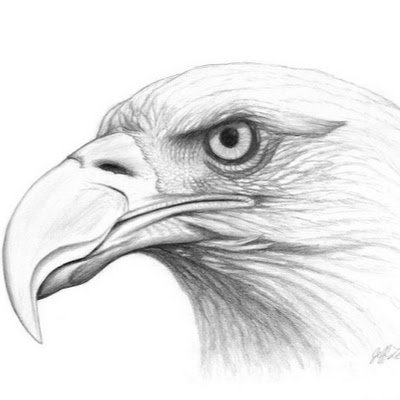 klobess14784's profile picture. 