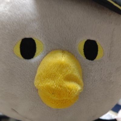 推し活兼お取引垢 *20↓水泳暦13年以上専門fr *free 松岡凛🦈 イワトビちゃん*ハイキュー 孤爪研磨🐱ྀི*ウィンブレ 十亀条*呪術廻戦 五条悟******返信とても遅いです🐢💨