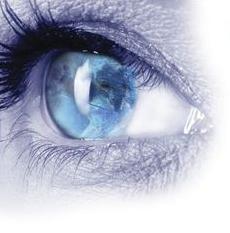 Praktijk voor Integratieve Psychotherapie, Coaching, Supervisie, Training en Deskundigheidsbevordering.

Met het oog op ontwikkeling, bewogen en betrouwbaar.