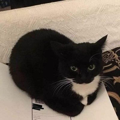 skdhdksoawid's profile picture. 