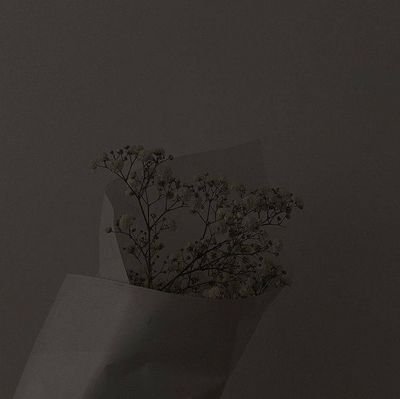 povluve_'s profile picture. 