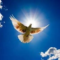 mraaad10014's profile picture. مثقف جاد وصادق طيب القلب