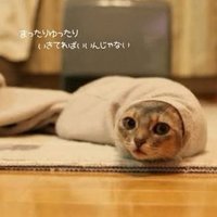 ちょび (@choco_papa616) 's Twitter Profile