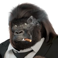 Mustafa (@darthstormrage) 's Twitter Profile