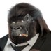Mustafa (@darthstormrage) Twitter profile photo Mustafa (@darthstormrage) Twitter profile photo