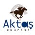 AKTAŞ EKÜRİSİ (@aktasekurisi) Twitter profile photo AKTAŞ EKÜRİSİ (@aktasekurisi) Twitter profile photo