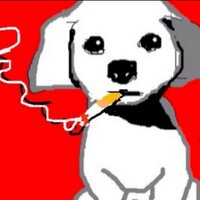 Ben the dog (@bentalking) 's Twitter Profile