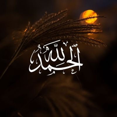 سوله ژوند ده لویه هیله می په هیواد کی تل پاته سوله ده❤️