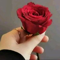 𓆩﮼نبع،الوفاء𓆪 (@_mimy_1) 's Twitter Profile