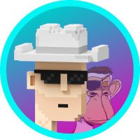 VoxelPunks (@voxelpunksnft) 's Twitter Profile