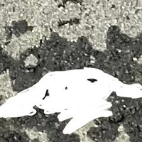 川 (@zqvdu) 's Twitter Profile Photo 川 (@zqvdu) 's Twitter Profile Photo