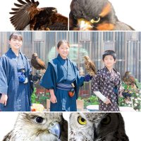 猛禽3姉兄弟 (@moukin3kyoudai) 's Twitter Profile Photo 猛禽3姉兄弟 (@moukin3kyoudai) 's Twitter Profile Photo