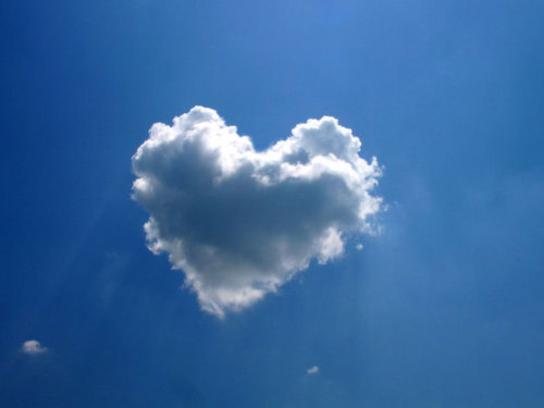 hanee7's profile picture. 글쓰기를 좋아하는 평범한 사람