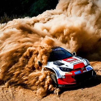 rally fans! passionate about motorsport!