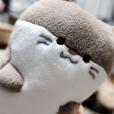 驚きの価格 確認用 yukyanちゃん♡様 各種パーツ - iwd.hkust.edu.hk