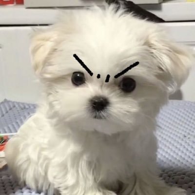 pizzabh92's profile picture. 유명하구나? 나 좋아하는 걸로