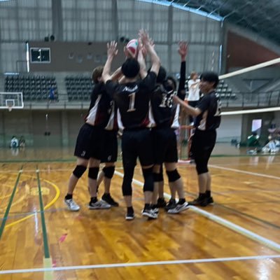 nitvolleyzo Profile Picture