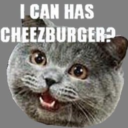czbrcoin's profile picture. No telegram. No website. Just cheezburgers. It's a bear market after all. $CZBR