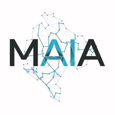 Montenegrin AI Association Profile