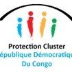 Cluster Protection_ RD Congo (@protclusterdrc) 's Twitter Profile Photo Cluster Protection_ RD Congo (@protclusterdrc) 's Twitter Profile Photo