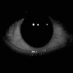 pepsinotion's profile picture. bio