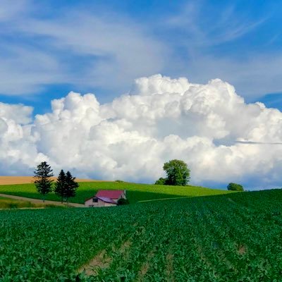 aaataiko's profile picture. 