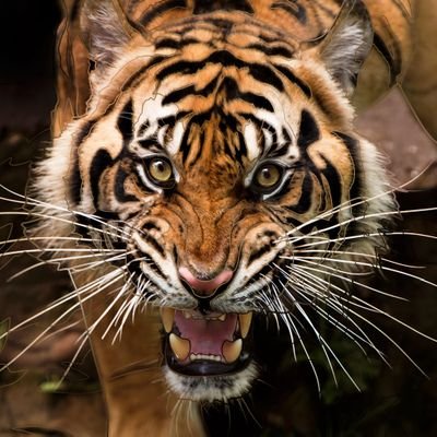 Gabriel43448773's profile picture. 