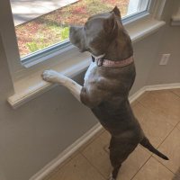 @QuntionGarrett (@quntiongarrett1) 's Twitter Profile