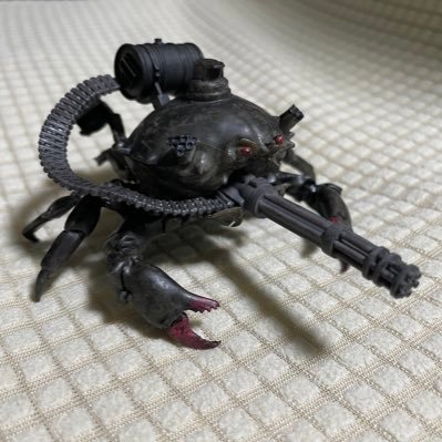 fujin251798504's profile picture. 