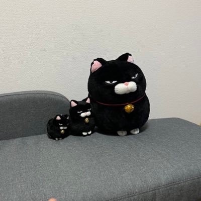 kuro0906ma's profile picture. ひげまんじゅう黒豆/ぬい撮り/気まぐれ更新