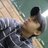 felipe_anf's profile image