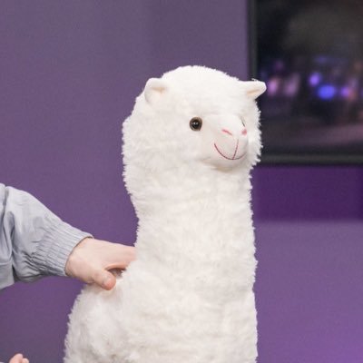 nimouo19's profile picture. 🇹🇼中/En/한📖｜ 20DRX 23DK 24KT 25CFO 삼형제𖤐🦙🐶🪿……끝까지 응원할게요 #DEFT #ShowMaker