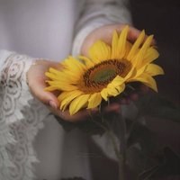 ريـفـان 🌻 (@altolip3) 's Twitter Profile Photo ريـفـان 🌻 (@altolip3) 's Twitter Profile Photo