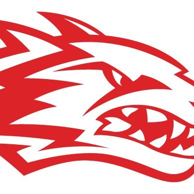 The official twitter page for Reeds Spring Boy's Basketball- Member of the BIG 8 East Division, 4A District 12