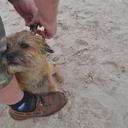 Mike Colley - @mikeD_C - Twitter