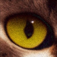 John (@haskallcurry) 's Twitter Profile
