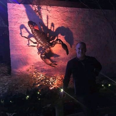 Harry26737737's profile picture. Am not a back up plan and definitely not a second freaky choice