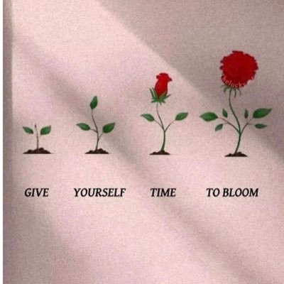 mohamma95419341's profile picture. 