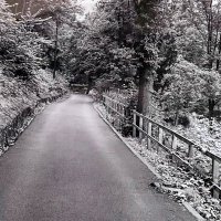 Ben Khudair د. أحمد بن خضير (@tbkhudair) Twitter profile photo