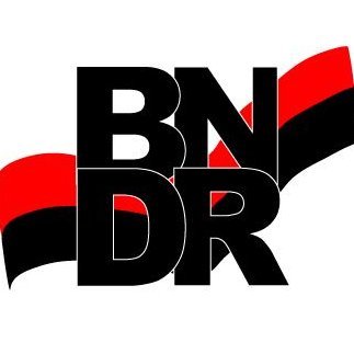 BNDRCoin Profile Picture