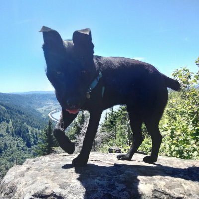 peggyz50's profile picture. 