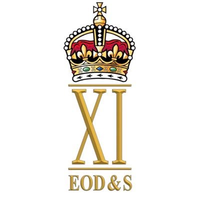 11 EOD & Search Regiment Profile