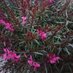 emel genc (@emelgen96659387) Twitter profile photo emel genc (@emelgen96659387) Twitter profile photo