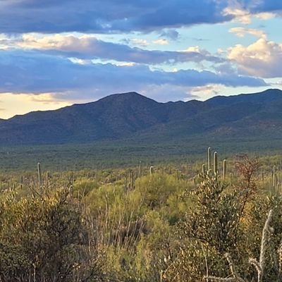 saguarogeo's profile picture. following cool accounts is my passion