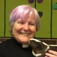 Rev’d.Cate Allison(@cateallison) 's Twitter Profile Photo