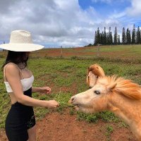 NsCidy (@glissa_n) 's Twitter Profile