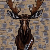Rogue Moose(@moosequant1) 's Twitter Profile Photo