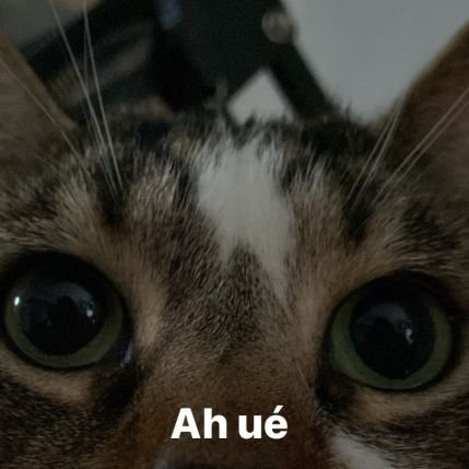 LeProfesseurrr's profile picture. 🍑🥕🎡🎫⛄